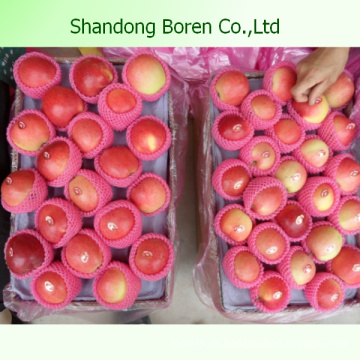 Shandong Köstliche saftige knusprige süße Gala Apfel